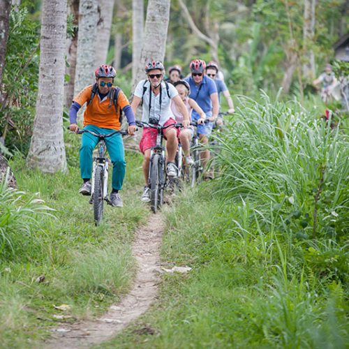 Downhill Mountain Cycling Tour