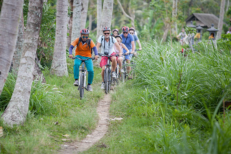 Downhill Mountain Cycling Tour