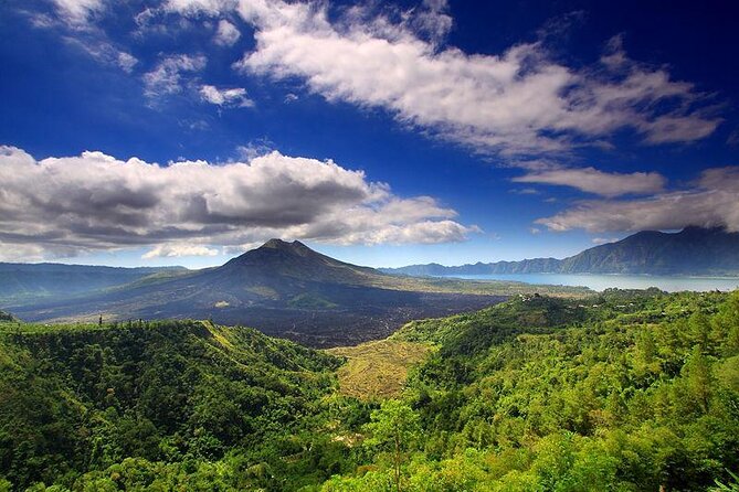 Kintamani Volcano Tour, Swing, Rice Terrace, Waterfall, Temple