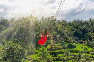 Jungle Swing, Rice Terrace, Monkey Forest, Waterfall Duration 8 Hours