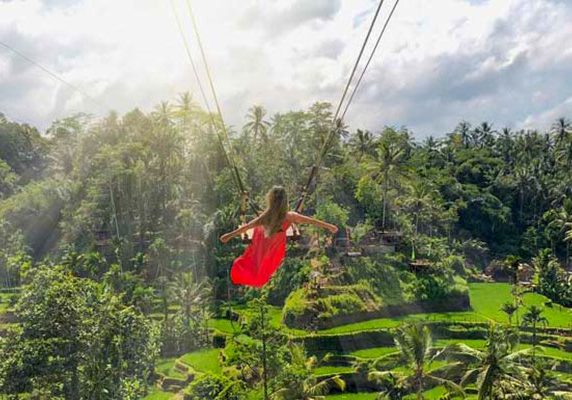 Jungle Swing, Rice Terrace, Monkey Forest, Waterfall Duration 8 Hours